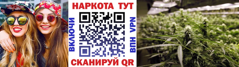 Наркошоп Могоча КОКАИН Марихуана Псилоцибиновые грибы ГАШ Мефедрон Alpha PVP