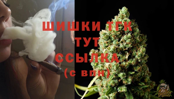 индика Фёдоровский