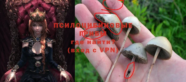 твердый Козловка