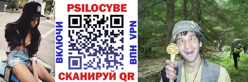 купить  цена  Могоча  Псилоцибиновые грибы GOLDEN TEACHER 
